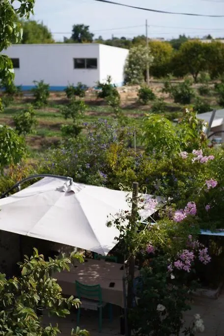 Vila Amarilis Luz de Tavira Holiday home